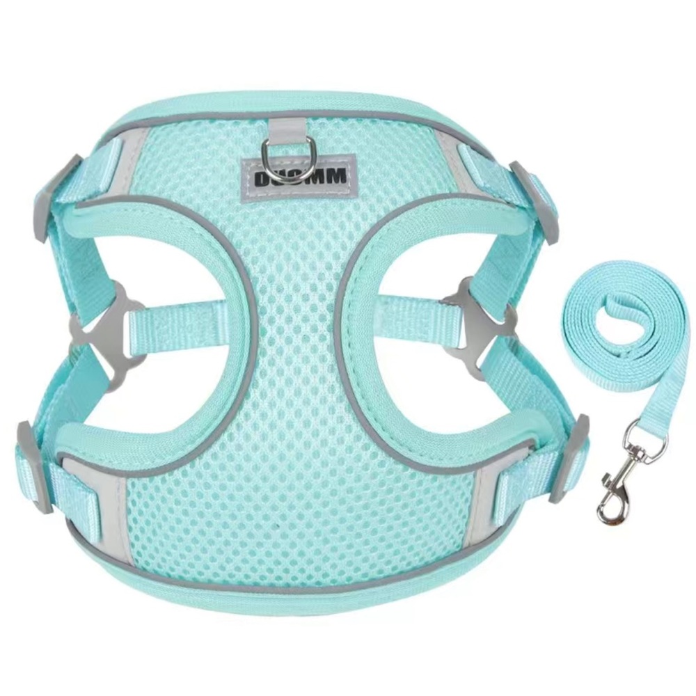 🩵Tiffany Blue Small Dog Harness & Leash set XL